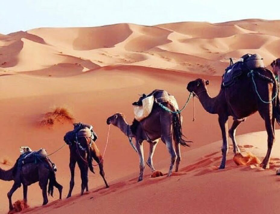 3 Days Sahara Desert Tour