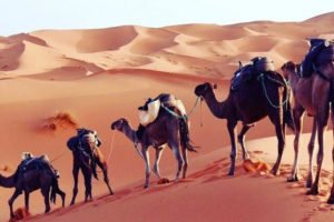 3 Days Sahara Desert Tour