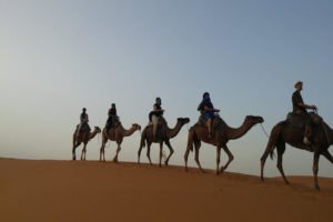 Marrakech To Chefchaouen Tour