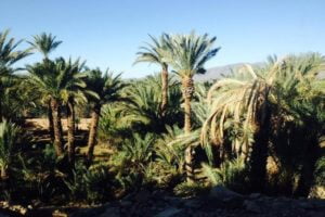 4 days Desert Tour From Marrakech